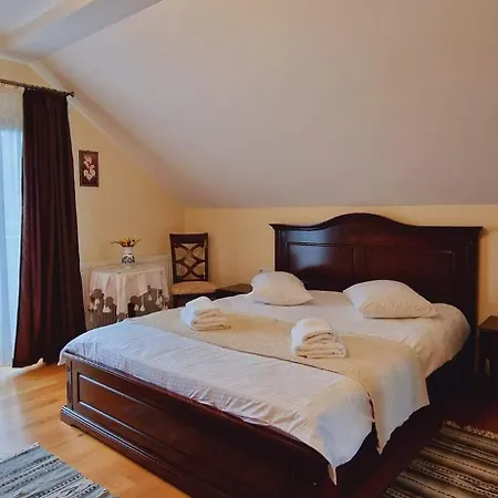 Casa Mesterului Bîrsana
