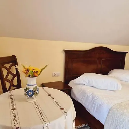 Casa Mesterului *